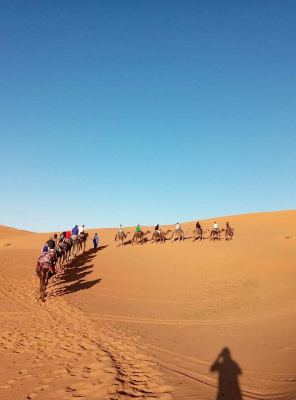 merzouga desert