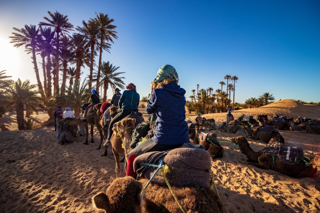 merzouga desert camel rid on sunrise