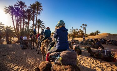 merzouga desert camel rid on sunrise