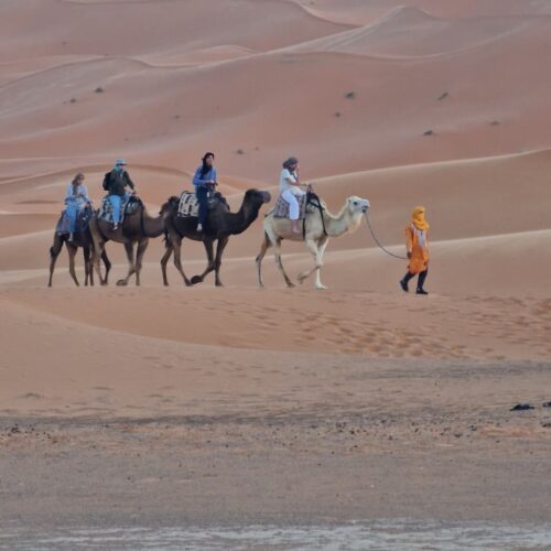3 giorni da Marrakech a Fes