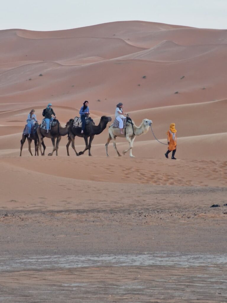 3 giorni da Marrakech a Fes