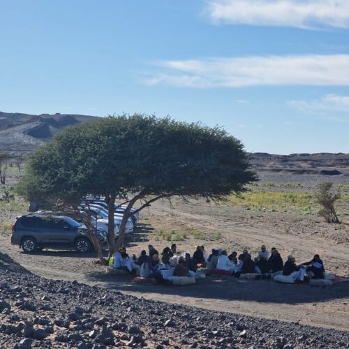 picnic in the desert