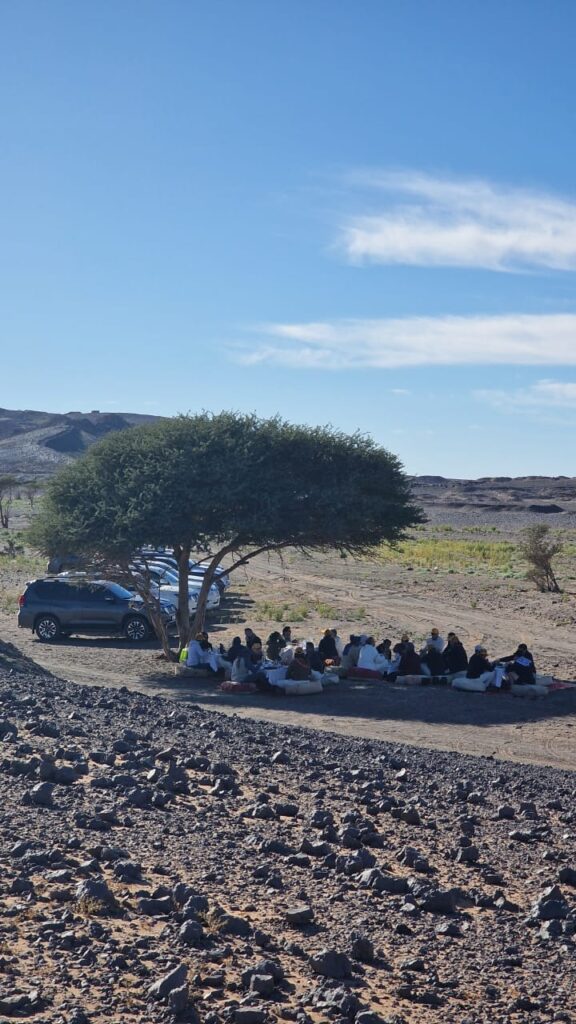 picnic in the desert