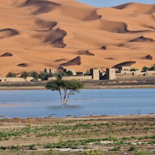 Excursiones de 5 días desde Marrakech a Fez