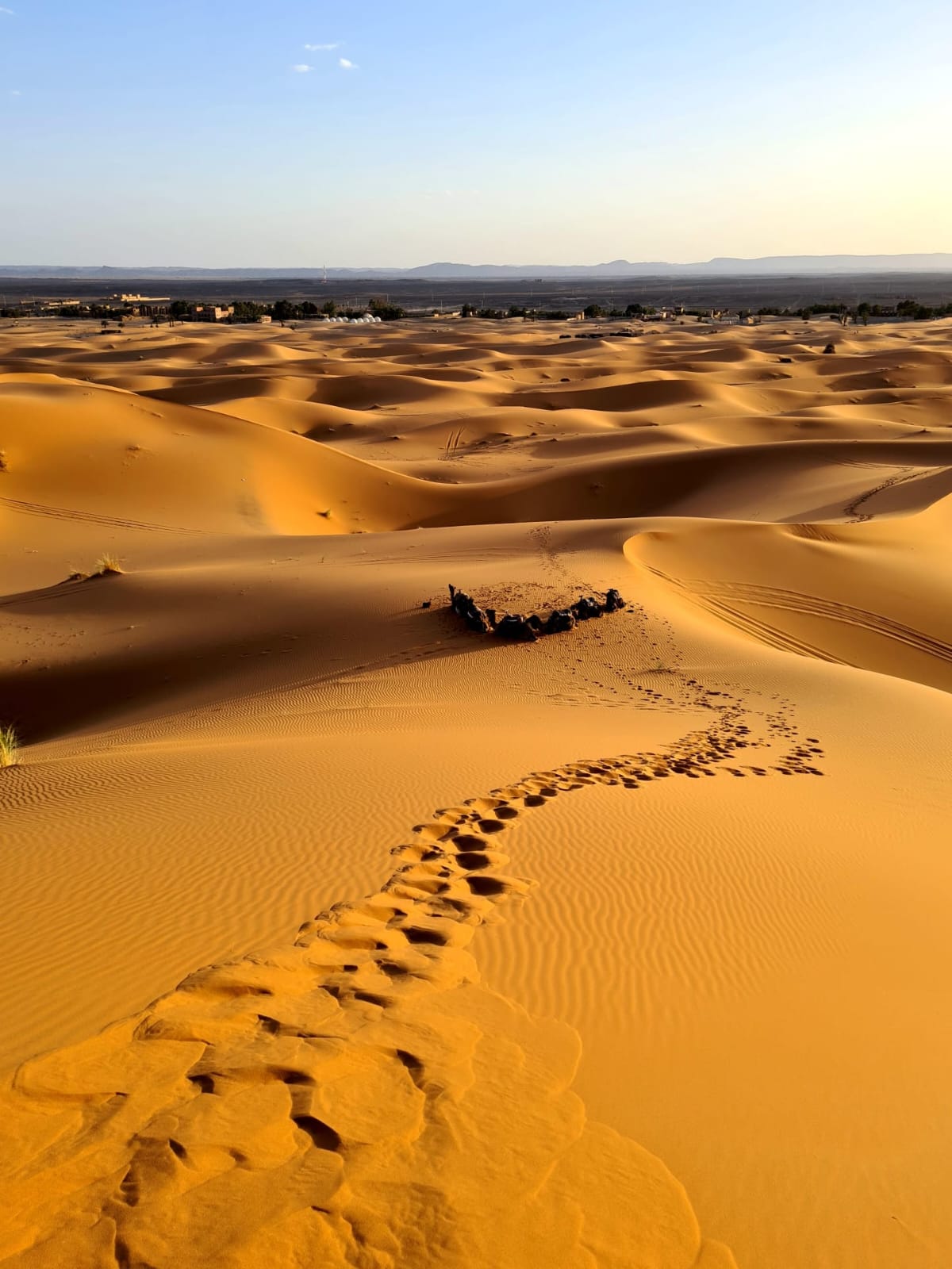 Explore our Morocco travel gallery featuring Sahara Desert tours, camel treks, Atlas Mountains, imperial cities, and unforgettable travel experiences.